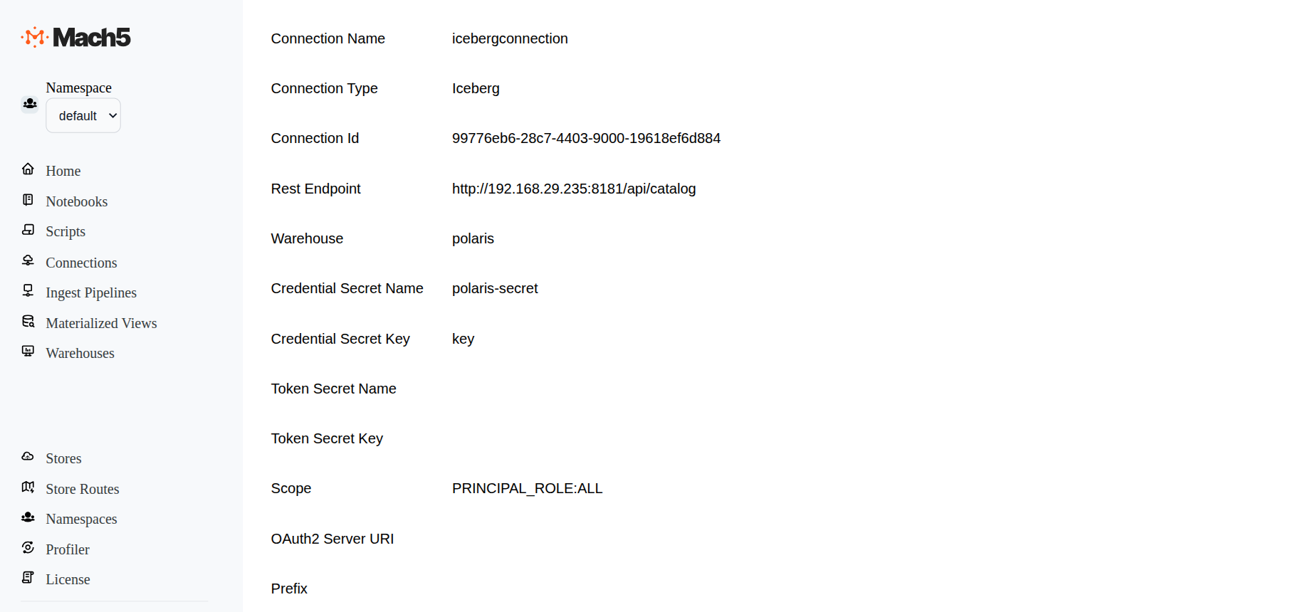 IcebergPolarisConnectionDetails